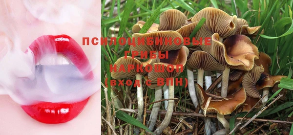MDMA Premium VHQ Богородск