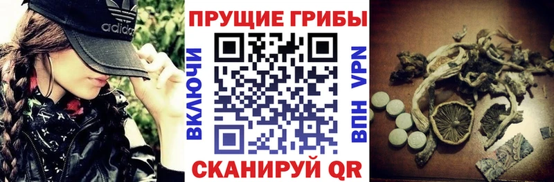 Псилоцибиновые грибы мицелий  как найти   Кондопога 